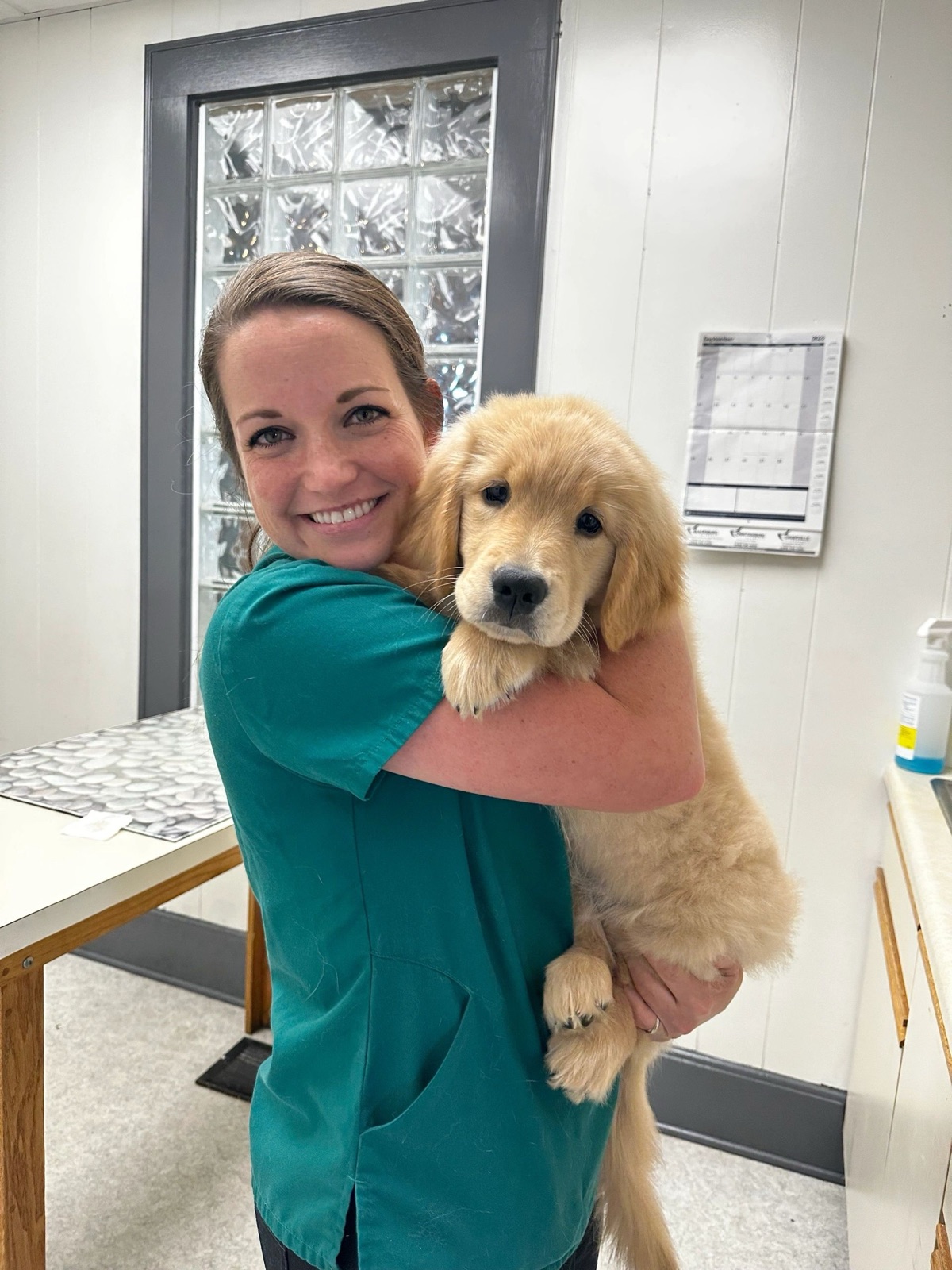 A Riner Animal Clinic team member holding a golden retriever puppy
